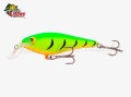 Isca OCL Lures Ziza Shad 75 - 7,5cm 10g Cor FT