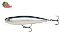 Isca Rapala Precision Xtreme Pencil 87 - 8,7cm 12g Cor EB