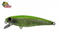 Isca Fury Rex 65SP 6,5cm 6,2g Cor CBT