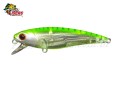 Isca Fury Rex 65SP 6,5cm 6,2g Cor CBT