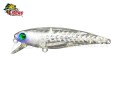 Isca Fury Rex 65SP 6,5cm 6,2g Cor SCL