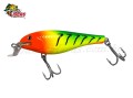 Isca Tch� T-Shad 120 - 12cm 31g Cor 39