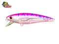 Isca Fury Rex 65SP 6,5cm 6,2g Cor PKT