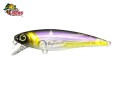 Isca Fury Rex 65SP 6,5cm 6,2g Cor BG