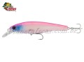 Isca Crown Landara 95 - 9,5cm 14g Cor CR15