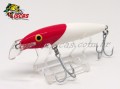 Isca Rapala Floating Magnum 9cm 13g Cor RH