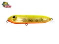 Isca KV Dr. Spock Jr. 9,5cm 17g Cor 09