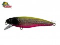 Isca Fury Rex 65SP 6,5cm 6,2g Cor CPB