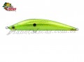 Isca Marine Sports Inna 110 11cm 22g Cor HGT