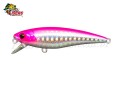 Isca Fury Rex 65SP 6,5cm 6,2g Cor SPB
