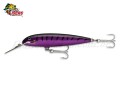 Isca Rapala CD Magnum 11cm 27g Cor PM