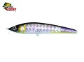 Isca Fury Fishing Raptor 100 - 10cm 9,2g Cor BG