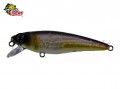 Isca Fury Rex 65SP 6,5cm 6,2g Cor BG