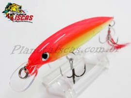 Isca Rapala X-Rap 10cm 13g Cor HH