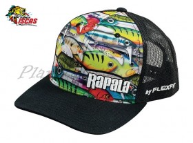 Imagem 1